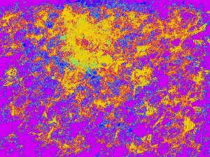 Color Mix 12 
